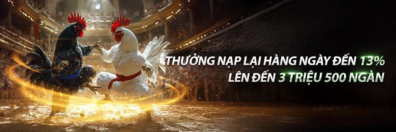 Đá Gà Trực Tuyến Fabet 2026